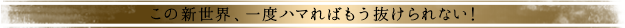 この新世界、一度ハマればもう抜けられない！